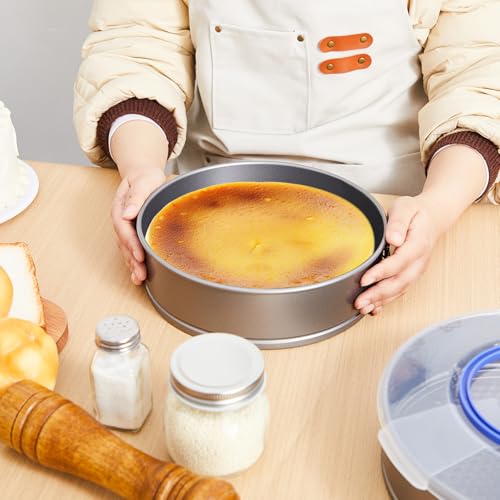 Teenyyou 1 Pcs 9 in Non Stick Springform Cheesecake Pan with Lid - size: about 9 x 2.5 inches