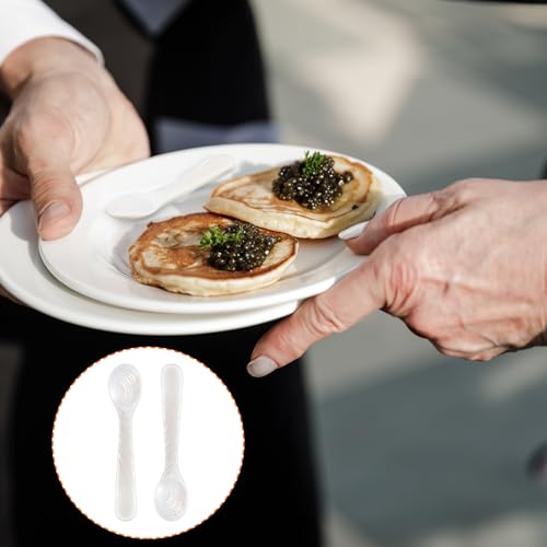 Patelai 2 Pieces Mother of Pearl Caviar Spoons Round Handle, 10cm/3.93 Inch - size: 3.93 inches