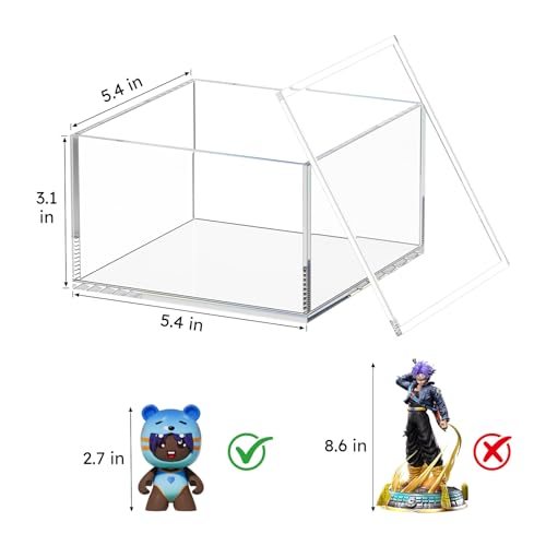 AITEE Decorative Acrylic Box with Lid, Display Storage for Home (Large) - size: Large