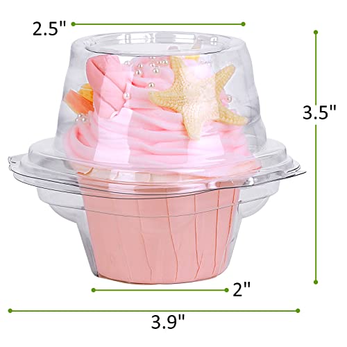 Cupcake Boxes Individual Cupcake Containers 50 Packs