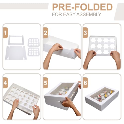 5 Pack 24 Count Standard Cupcake Boxes with Window & Inserts White - color: white