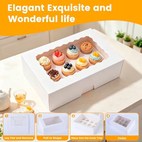 6 Pack Mini Cupcake Container, 12 Count Mini Cupcake Box with Window
