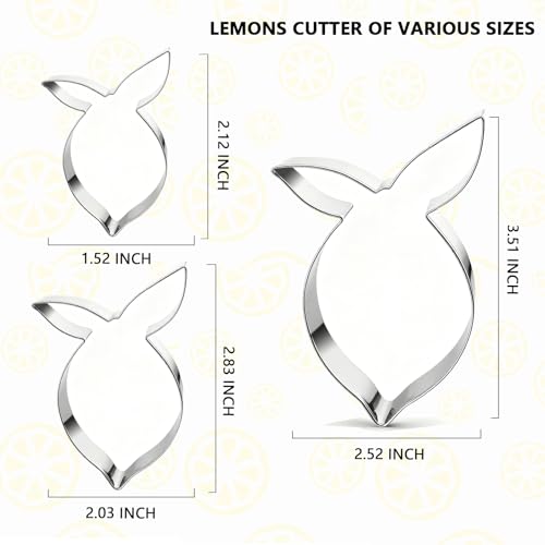 3 Piece Lemon Cookie Cutters- 3.77",3",2" Fruit Cookie Cutters Shapes - style: 3 pcs Lemon cookie cutter