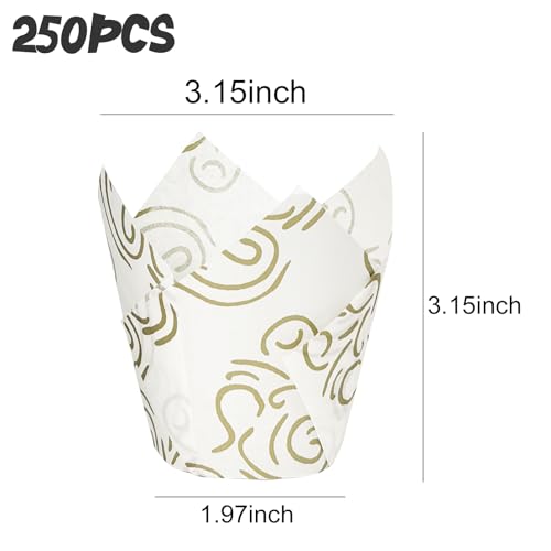 250Pcs Tulip Cupcake Liners,Parchment Paper Cupcake Liner in Standard Size - color: White Golden Cloud