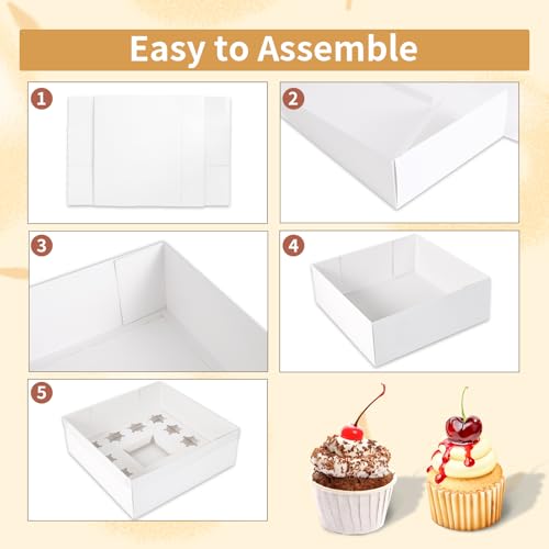 5 Packs Bento Cake and Clear Cupcake Box Fit 12 muffin Cupcakes and 1 Mini Cake Box with Clear Window and Stickers for Wedding Birthday Valentine'Day Party Baking Supplies - size: 1+12(5 Pack)