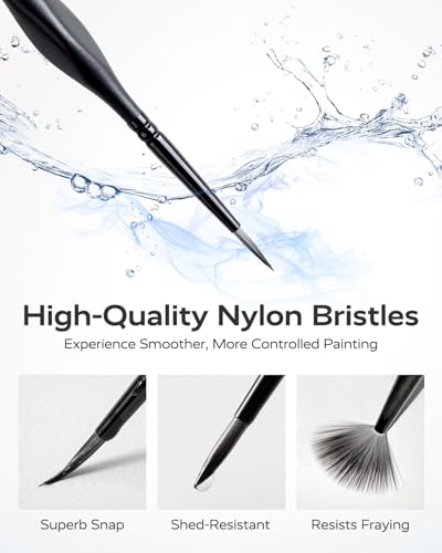 10 Pcs Fine Paint Brushes for Detail, Set with Case Holder