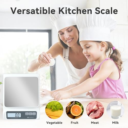 CYBERGIANT 13lb/0.1g Precision Digital Food Scale - Meal Prep Kitchen Baking & Espresso Coffee - Gram Scale with Stainless Steel Platform & LCD Display - color: White