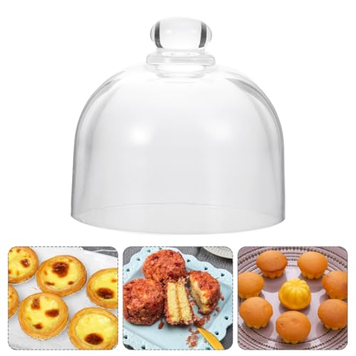 HEALLILY Glass Dome Cloche Clear Bell Jar Display Dome Jar Display Centerpiece for Plants Succulents Fairy Lights Photos Medals 9. 5X9. 5X8. 5CM