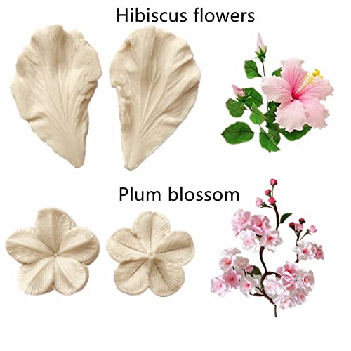 6set Gum Paste Flower Silicone Mold Sugar Flower Embossing Molds