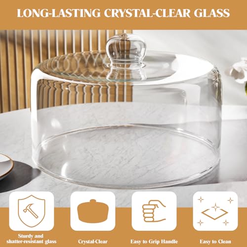 11 Inch Glass Cake Dome Cover - size: 11 Inch