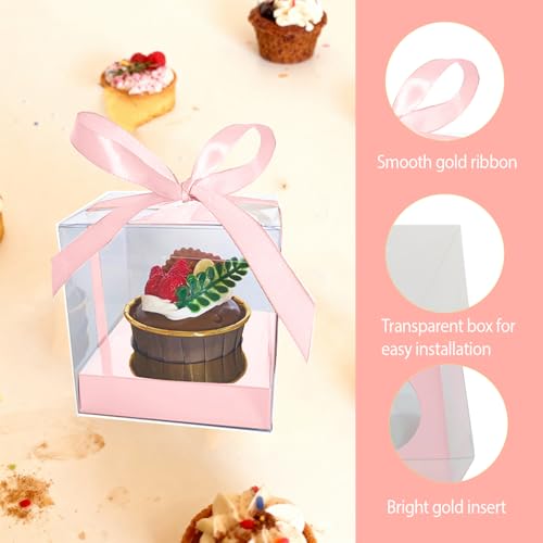 Individual Cupcake Boxes,24 Pack 3.5 Inch Clear Single Cupcake Containers,Cup Cake Carrier with Ribbon, Small Cake Holder Boxes for Wedding Party Valentine day - color: Pink, size: 24Pcs