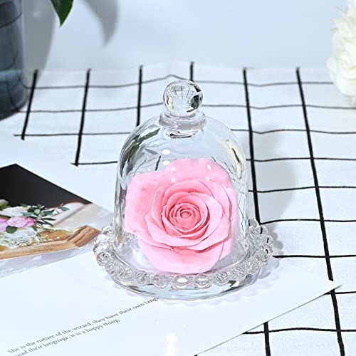 MDEOOSKY 10cm/3.94inch 4pcs Cake Domes Cookie Display Cake Holder with Cover Cake Stand for Cake Dessert Single Cupcake Stand Fruit Glass Cover Shield Party Favor