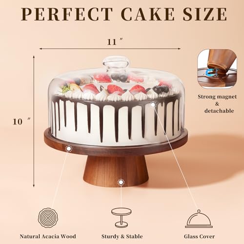 VIVIRBIEN 12in Acacia Wood Cake Stand with Glass Dome&Magnetic Pedestal