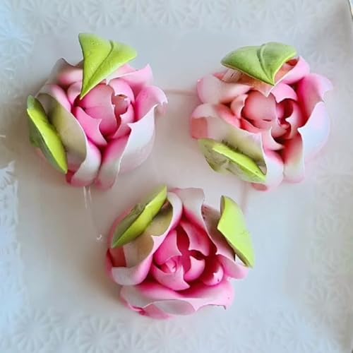 Stainless Steel Extra Large Russian Tulip Icing Tips Kit,4 Pcs Set - color: SILVER SET8