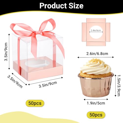 EUSOAR Clear Cupcake Boxes with Cupcake Liners, 50pcs 3.5 Inch Cupcakes Holder and 50pcs 3.5oz Baking Cup, Single Dessert Pastry Box Cupcakes Containers Disposable for Wedding Party Favor Bakery - color: Rose Gold