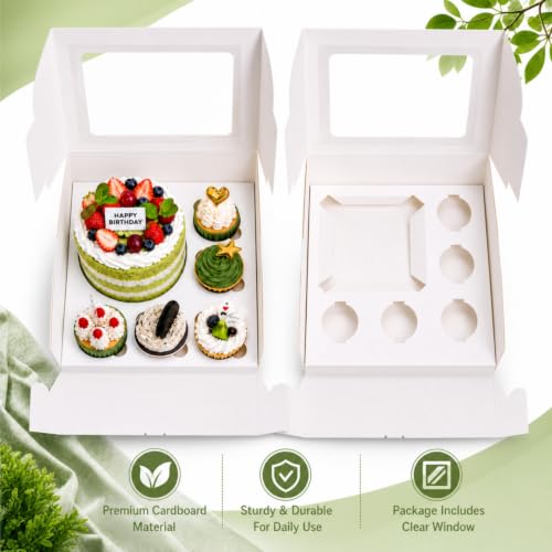 Dicunoy 6 Pack Bento Cake Box with Cupcakes, 13" Cookie Combo Box 6 Count