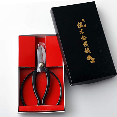 Wazakura Ikebana Tool Kit, Koryu Scissors and Brass Kenzan 2.4in - color: Koryu+brass Kenzan 2.4" (61mm)