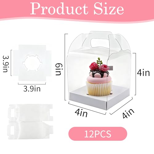 24 Count Individual Cupcake Containers, 4inch Cupcake Boxes Individual, Clear Cupcake Carrier (24, White) - color: White