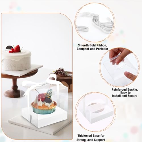 50 Pcs Plastic Cupcake Boxes, 3.5 Inch, White, Clear