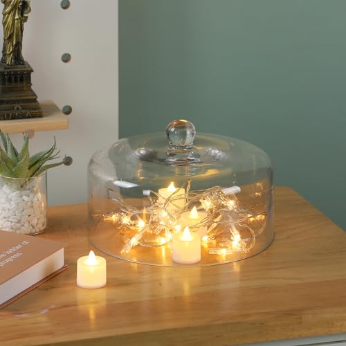 9.6" Wide Handmade Sturdy Glass Cake Dome, Cake Cover Lid for Cake, Food and Display, Glass Topper For Cake Plate And Cake Stand, Cake Stand Topper, Glass Dome Cloche, Glasss (9'6"x5.5") - size: 9.6"x5.5"