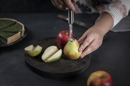 Kuhn Rikon Essential Apple Corer – Durable Stainless Steel Handle and Blade for Easy Core Removal – Comfortable Grip - style: apple cutter