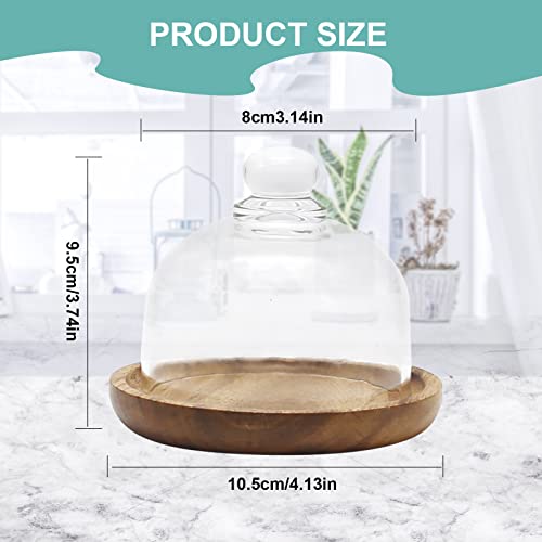 Glass Dome with Wooden Base