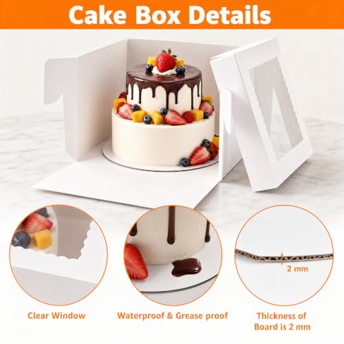 Cididu 10 Pack Cake Boxes 12 Inch, 12x12x8 Inch Tall Cake Box with Window