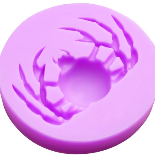 Halloween Bat Spider Silicone Molds Set of 6, for Cake Decoration
