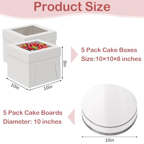 WINKIO 10 in Cake Box with Board, Cake Carrier Holder Container - size: 10x10x8 Inches