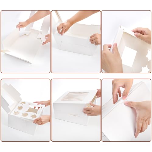 Dicunoy 6 Pack Bento Cake Box with Cupcakes, 13" Cookie Combo Box 6 Count