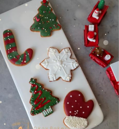 5Pcs Christmas Cookie Cutters,Winter Holiday Cookies Cutter Mold Shapes Gingerbread Men, Snowman,Christmas Tree, Snowflake, Candy Cane with Decorating Instructions - Stainless Steel - color: 5pchris