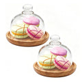 Glass Dome with Wooden Base