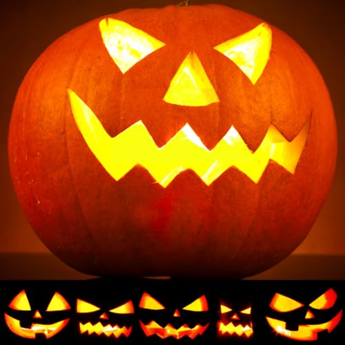 Pumpkin Carving Kit 22Pcs Stencils Tools Set Halloween Decoration - style: Pumpkin Carving Set