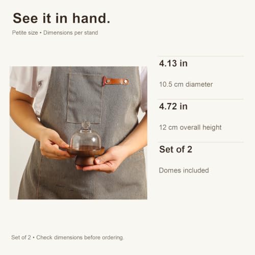 2 sets 4.1 inch of mini glass dessert cups, equipped with high-foot bases; small glass cake stand; transparent display plate, suitable for desserts, cheeses, candies, cakes and fruits. - color: 2 sets 4.1 inch of mini glass dessert cups,