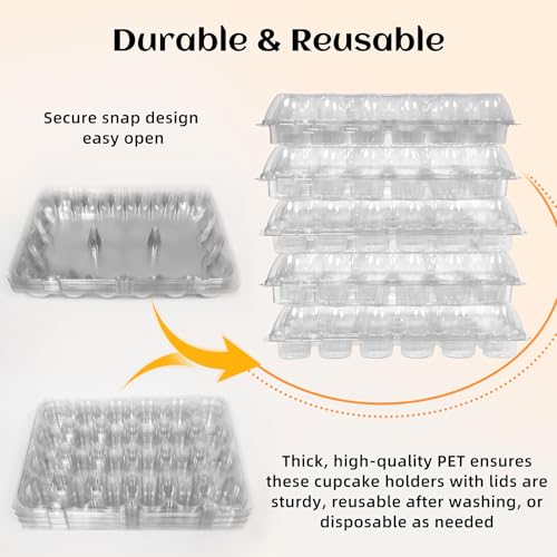 WIKDAY Plastic Cupcake Containers, 24 Count x 10 Sets