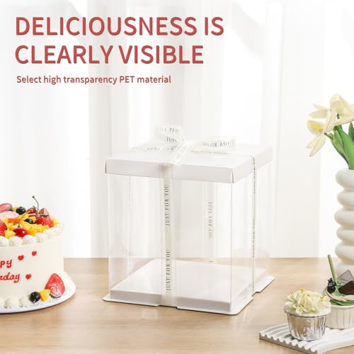 JCD 6 Pcs 2-Layer Tall Cake Packaging Boxes,8x8x9in Clear Cake Box with Ribbon,PET Cake Carrier Transport Container for Tiered Cake (White Lid, 8 * 8 * 9inch/6Pcs) - size: White Lid 8inch/6Pcs