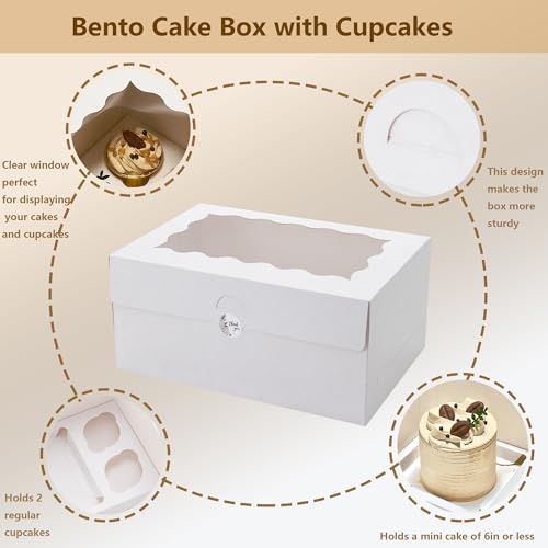 6 Sets Bento Cake Box with Cupcakes, Mini Cake and Cupcake Box with 2 Cupcakes and Tiered Mini Cake - color: White-6pack