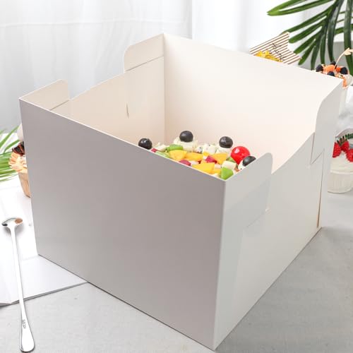 VGOODALL 2 PCS Cake Boxes, 10x10x8 Inch Cake Containers with Window