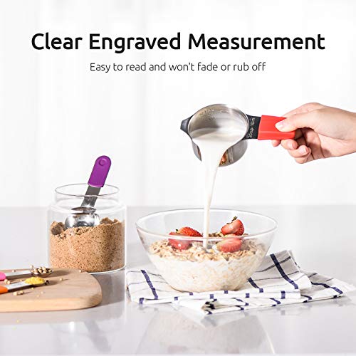 Measuring Cups, U-Taste Magnetic Measuring Cups and Spoons Set of 13 in 18/8 Stainless Steel: 7 Measuring Cups and 5 Measuring Spoons with 1 Professional Magnetic Measurement Conversion Chart - color: Clear