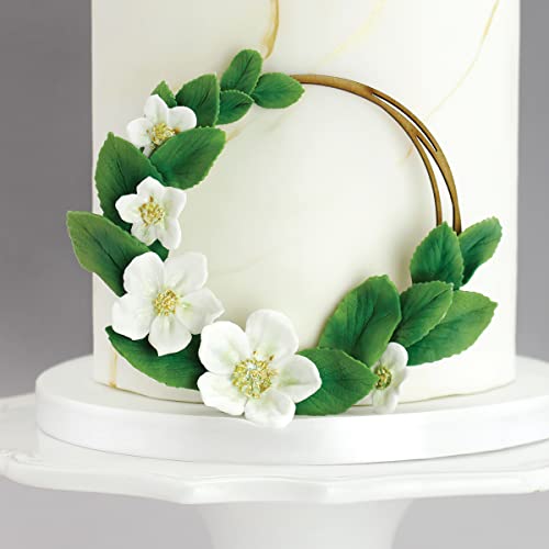 Katy Sue Hellebore Christmas Rose Silicone Mold for Christmas Cake Decorating and Crafts - Makes 3 Flowers & 3 Leaves - size: Flower heads 52, 38, 28mms
