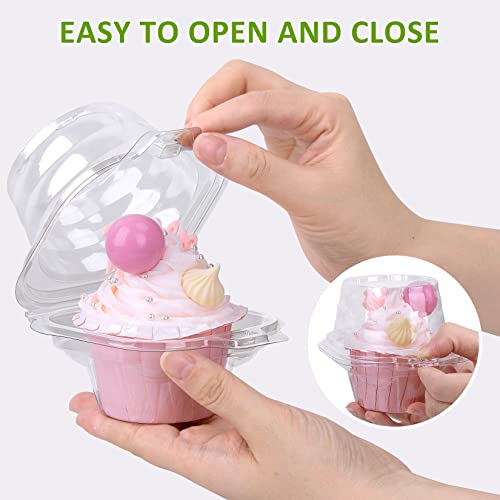 Cupcake Boxes Individual Cupcake Containers 50 Packs