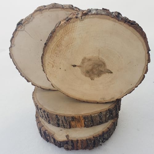 Wilson Décor Large Wood Slices Thick Round Imperfect Extra Value Pack 14pk (9-11 inches x 1 5/8 inches Thick) for Wedding, Table, Rustic, Centerpiece Décor