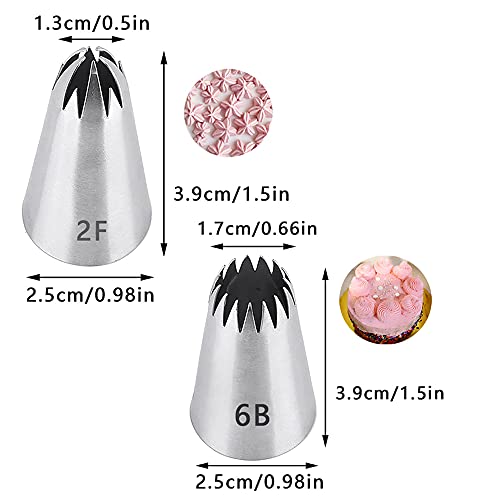 Large Icing Piping Tips Set for Cake Decorating,6 Decorating Tips Stainless Steel Pastry Tips,Flower Frosting Tips Nozzles,#1M 2A 2D 2F 6B 234 - color: Type 6