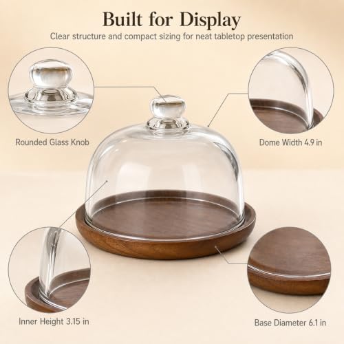 QWORK 6 Inch Small Cake Stand with Glass Dome, 6.1" Wood Serving Tray and Clear Cloche for Cupcakes, Dessert, Cheese, Pastry – Decorative Tabletop Display Plate