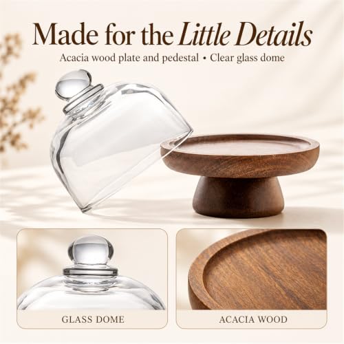 2 sets 4.1 inch of mini glass dessert cups, equipped with high-foot bases; small glass cake stand; transparent display plate, suitable for desserts, cheeses, candies, cakes and fruits. - color: 2 sets 4.1 inch of mini glass dessert cups,