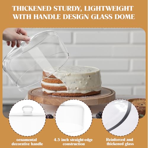 11 Inch Glass Cake Dome Cover - size: 11 Inch