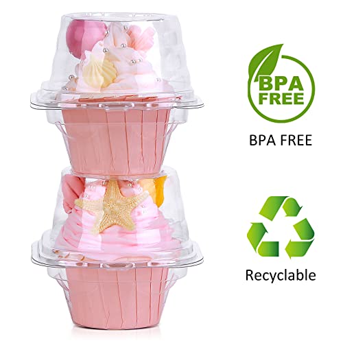 Cupcake Boxes Individual Cupcake Containers 25 Packs