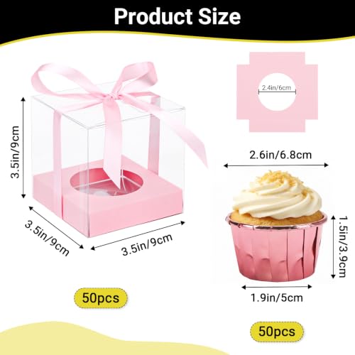 EUSOAR Cupcake Boxes with Cupcake Liners, 50pcs 3.5 Inch Clear Cupcakes Carrier and 50pcs 3.5oz Disposable Wrappers, Individual Cupcakes Dessert Pastry Containers for Wedding Party Favor Bakery - color: Pink/Rose Pink