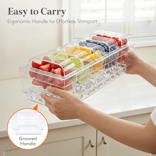 Lifewit Chilled Condiment Container with Individual Lids & Handle Design