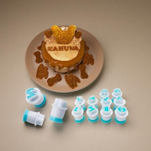 Alphabet Number Fondant Cutters,Fondant Letter Stamps For Cake Decorating,Cookie Cutters Set for Biscuit Cheese Baking Fruit Veggie Clay Cutters For Kids (Lowercase & Number Cutters)
